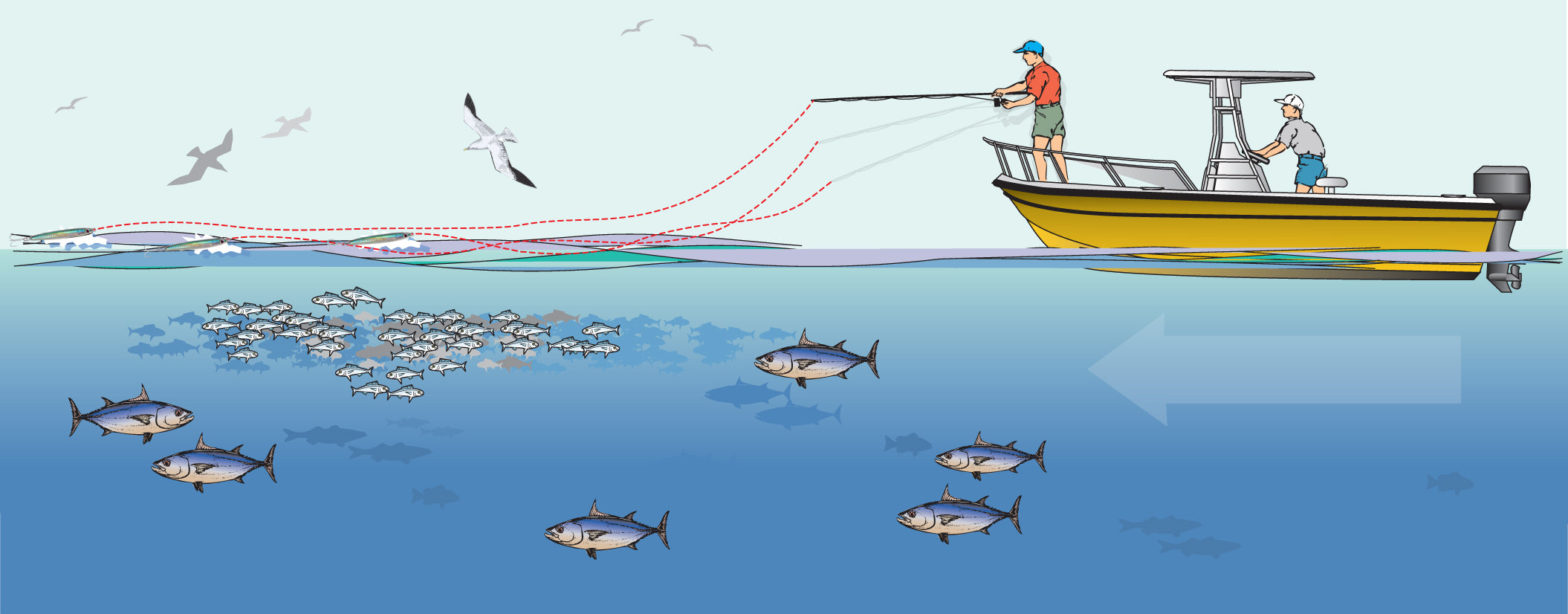 5 Tips To Catch More Albies
