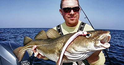 Video: Stellwagen Cod Jigging