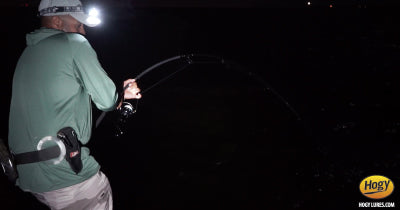 Video: Land Based Tarpon Fishing