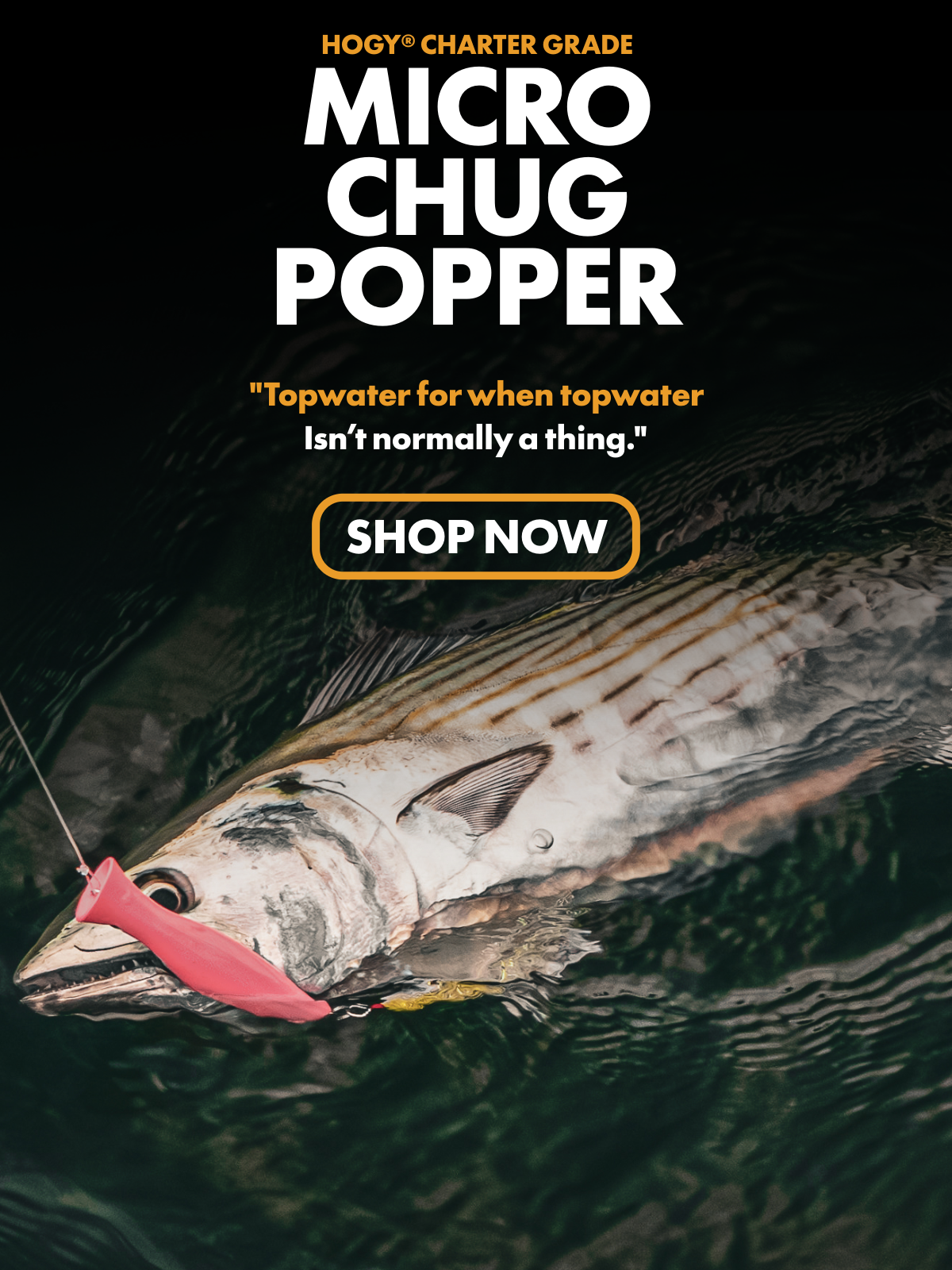 Hogy Micro Chug Popper Lure