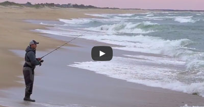 Video: Light Tackle Surf Stripers