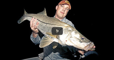 Video: Seawall Canal Snook
