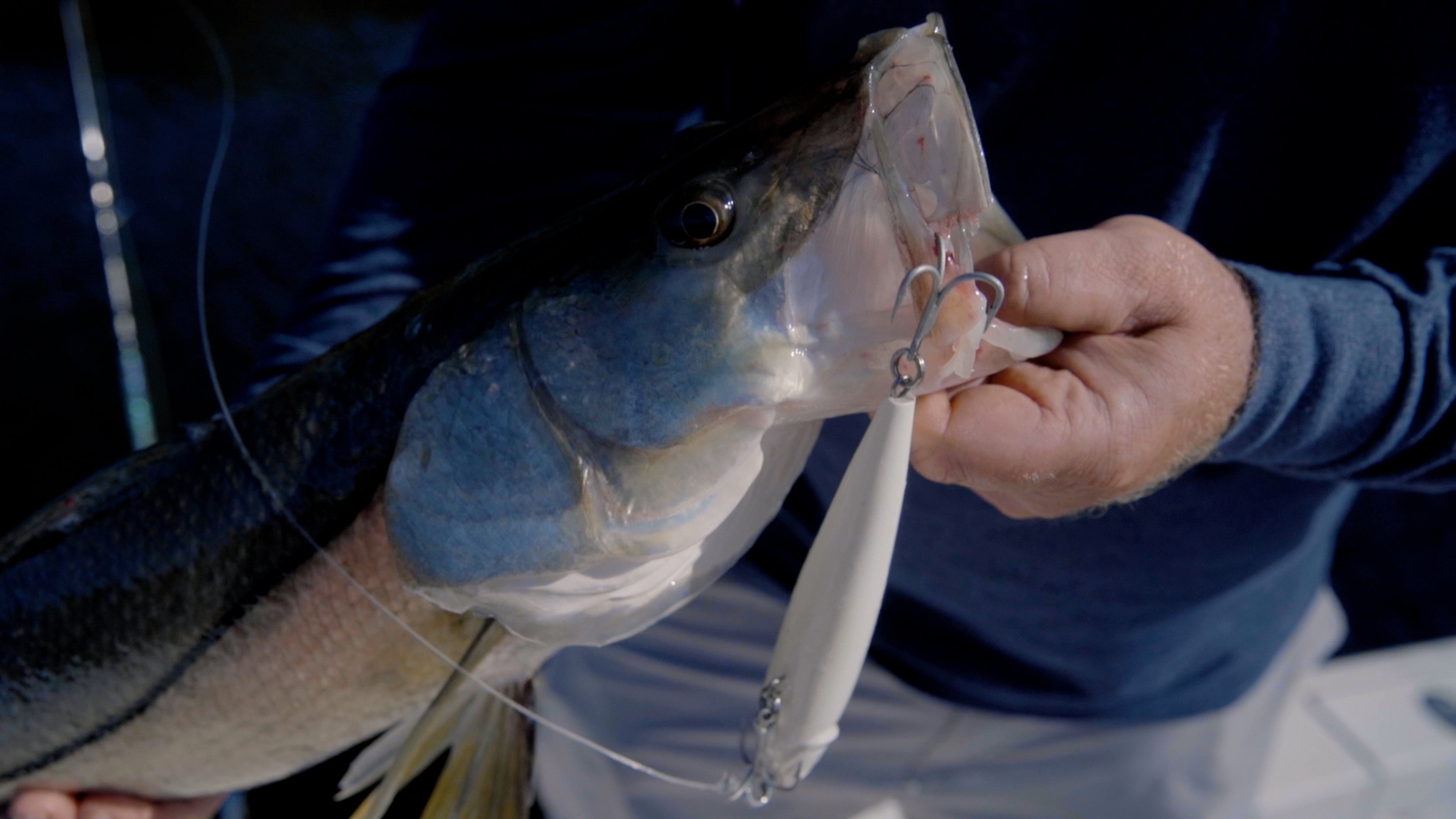 How To: Snook Fishing Top Water Plugs + Swimbaits