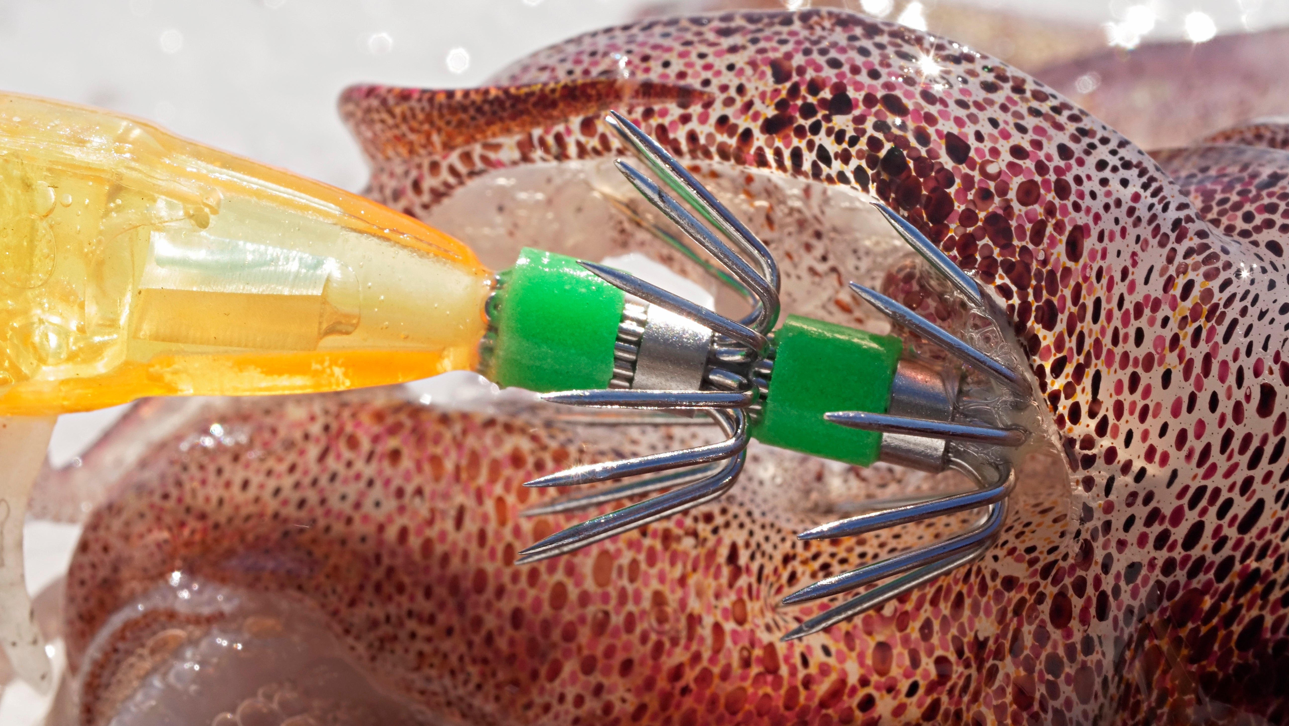 How To: Slack Tide Squid Fishing