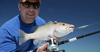 Video: Squinnow Snapper Jigging
