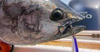 DIY Tuna-Rigged EPOXY JIG™ Lures
