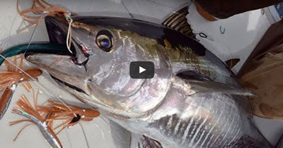 How To: Trolling for Bluefin Tuna with Spreader Bars