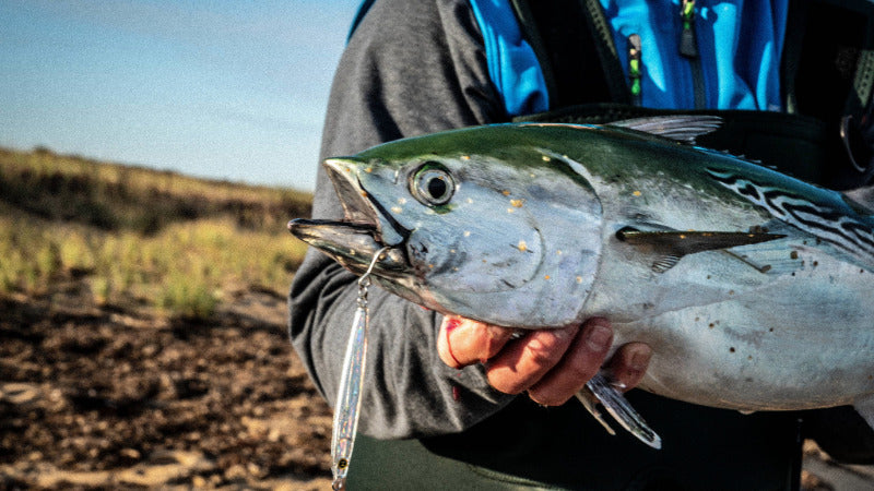 Hogy Lure Albie Casting Jig Fishing