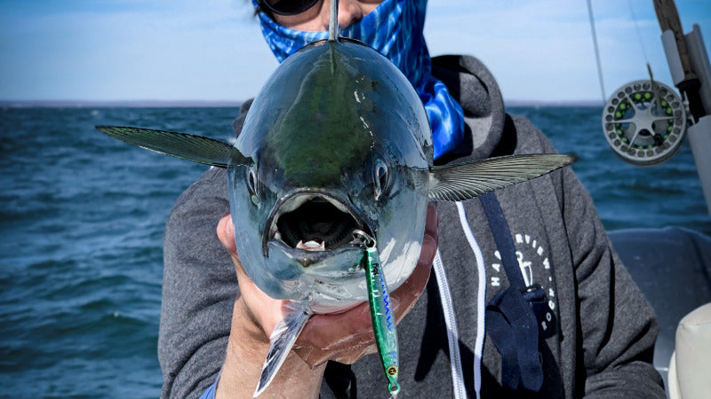 Long Range Casting Albie Heavy Minnow Jig Hogy Lure