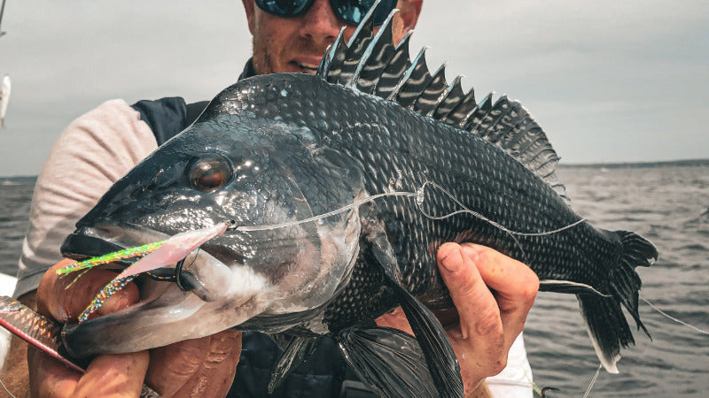 Hogy Groundfish Seabass Fluke Teaser Hook Jig System