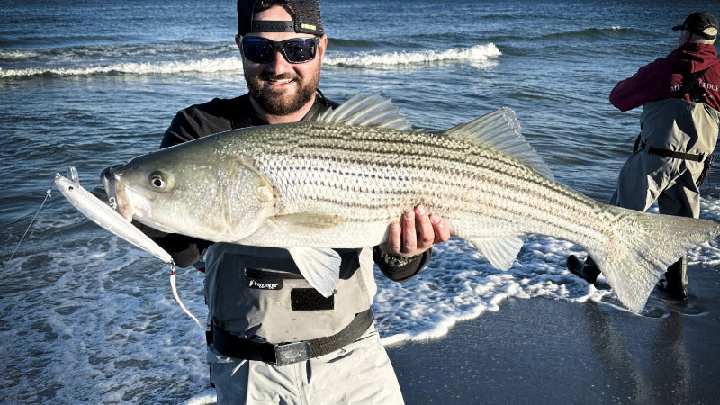 New Jersey Hogy Swimmer Striper Surf