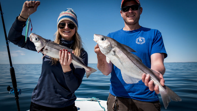 Haddock Jigging Sand Eel Jig Lure Hogy