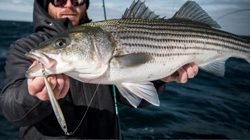 Hogy Sand Eel Jig Striped Bass Casting Jig Lure Fishing