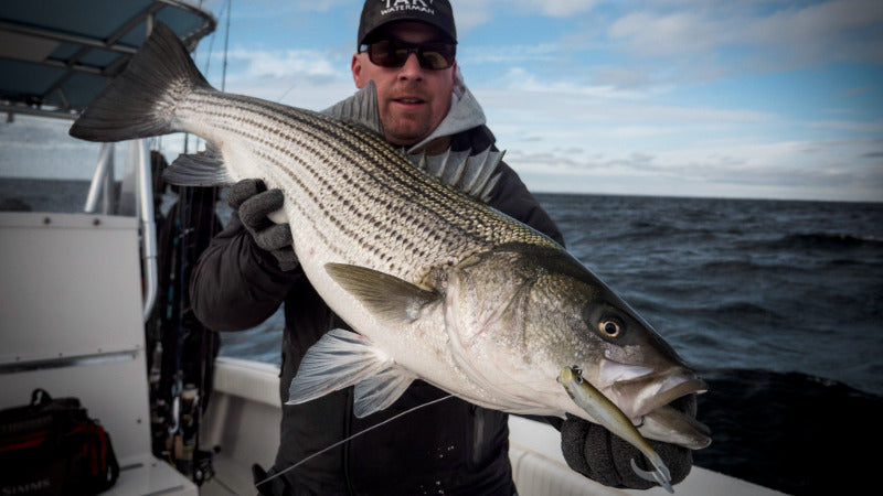 Slow Swimbait Striped Bass Lure Hogy Slowtail