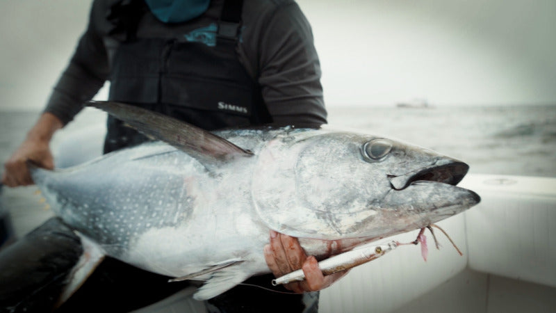 Hogy Sand Eel Jig Vertical Jigging Lure For Tuna FIshing