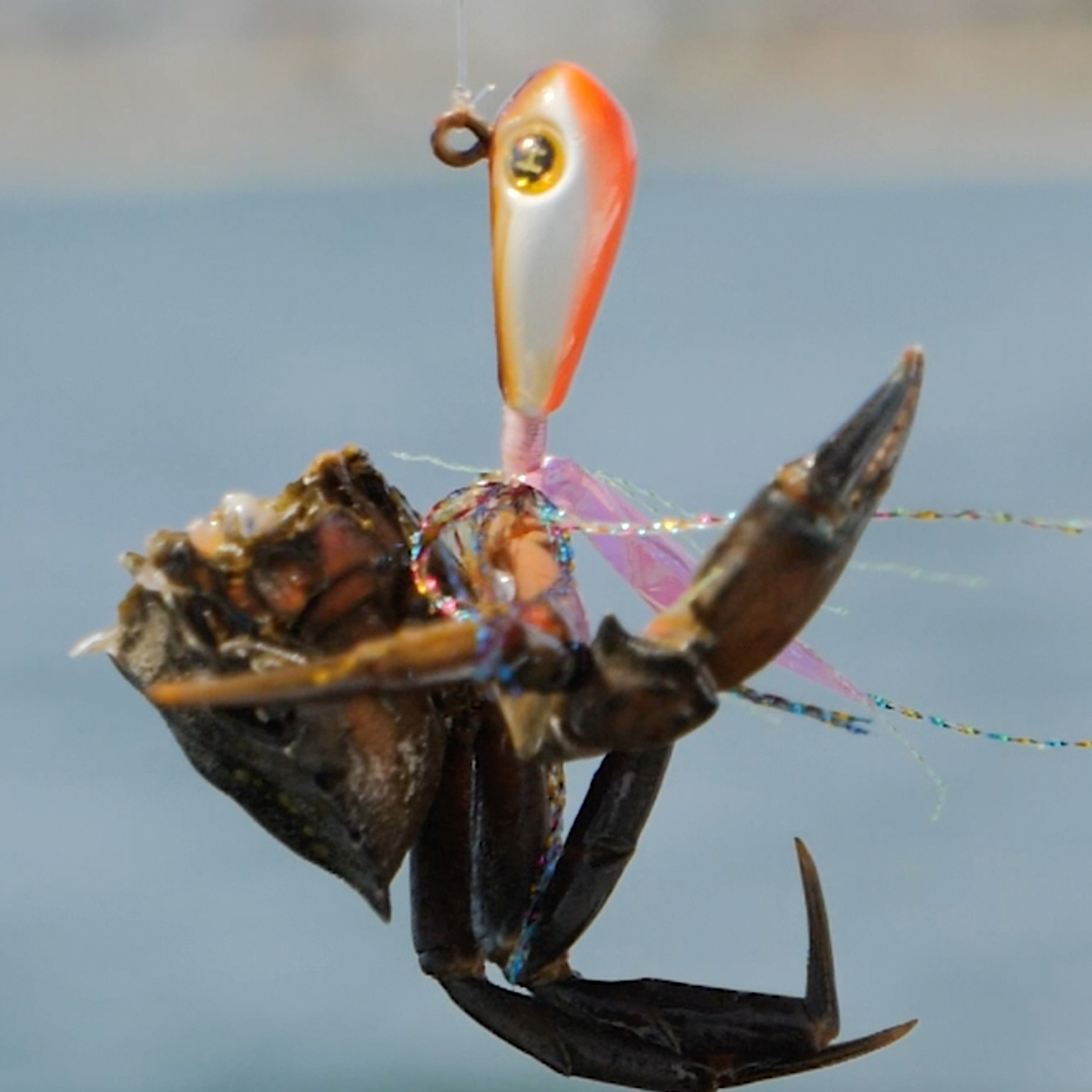 groundfish crab jig fishing lure