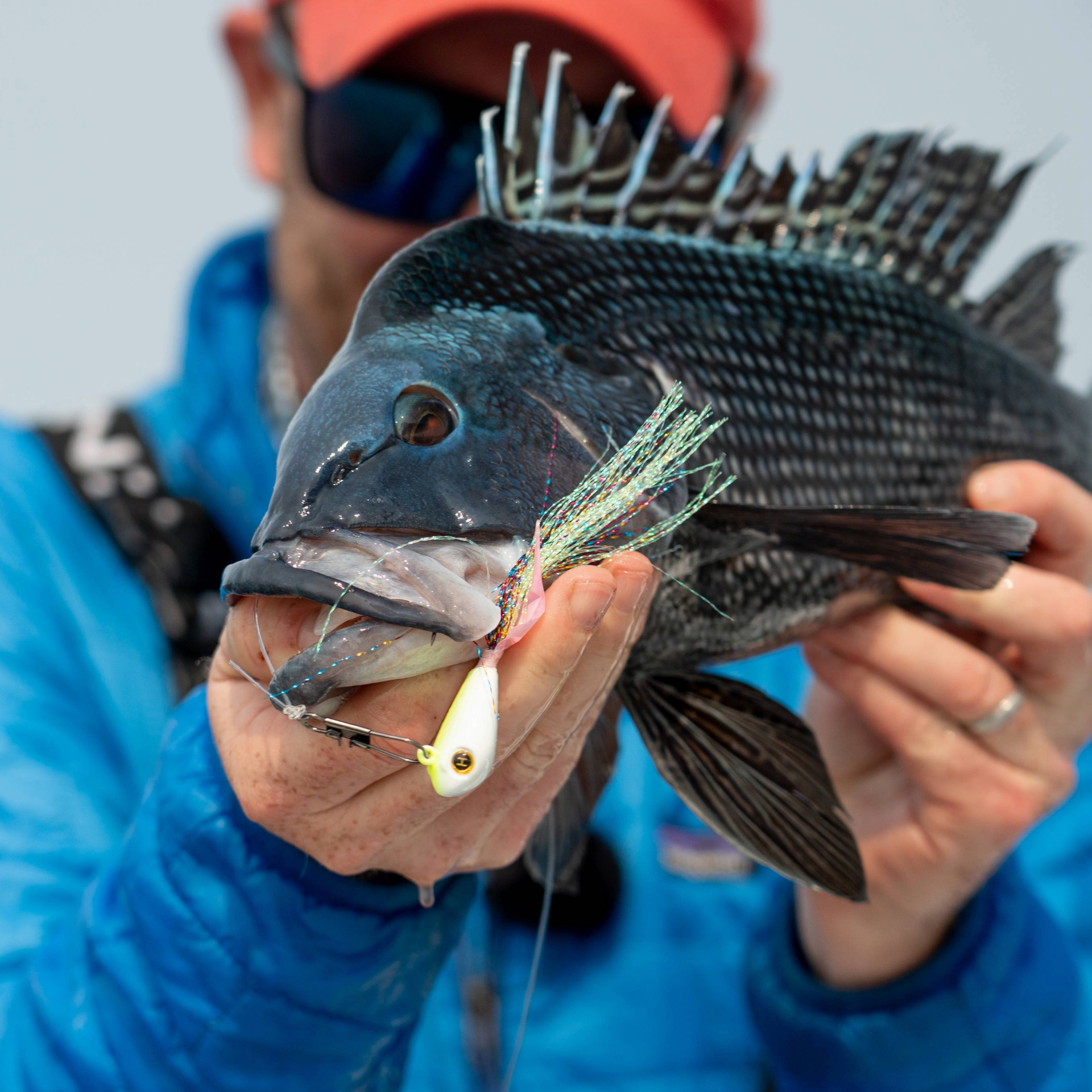 groundfish seabass jigging lure