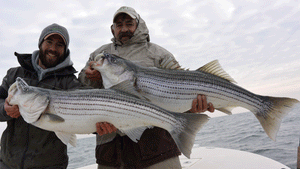 The Best Striper Lures for Shore Fishing #111-S