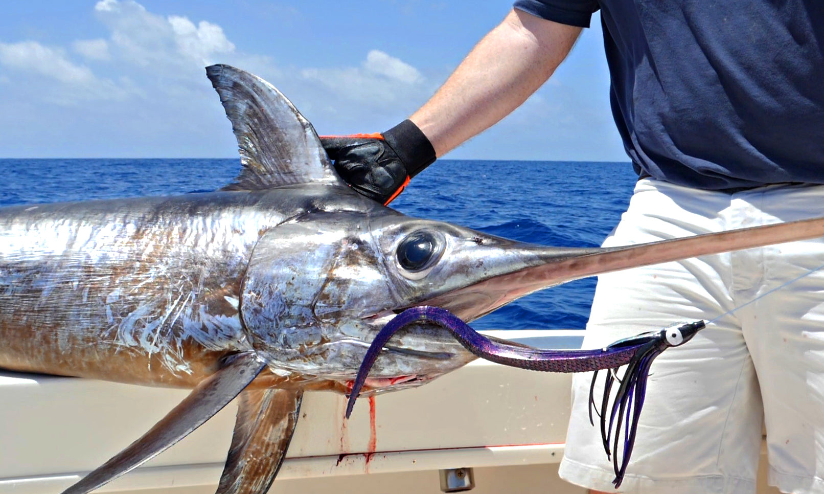 Gear Deep Dive: Hogy Deep Drop Swordfish Eel
