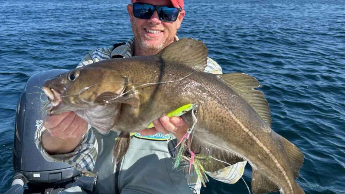 2026 Northeast Groundfish Fishing Regulations | Hogy Lures