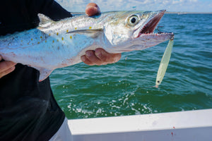 Pro Talk: Epoxy Jigs For Winter Spanish Mackerel