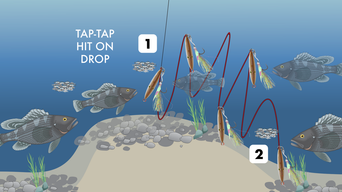 Deep-Water Sea Bass Contour Drifting Guide | Hogy Lures