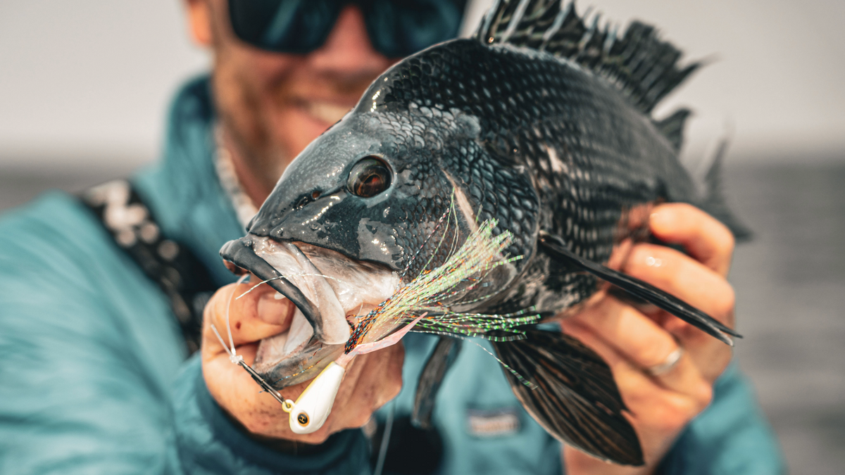 Fall Groundfish Tackle & Jig Loadout | Hogy Lures