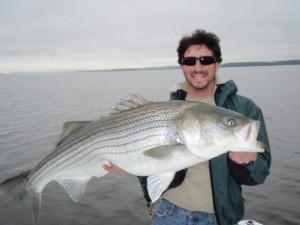 Pro Talk: Chesapeake Bay Shallow Water Giant Spring Stripers