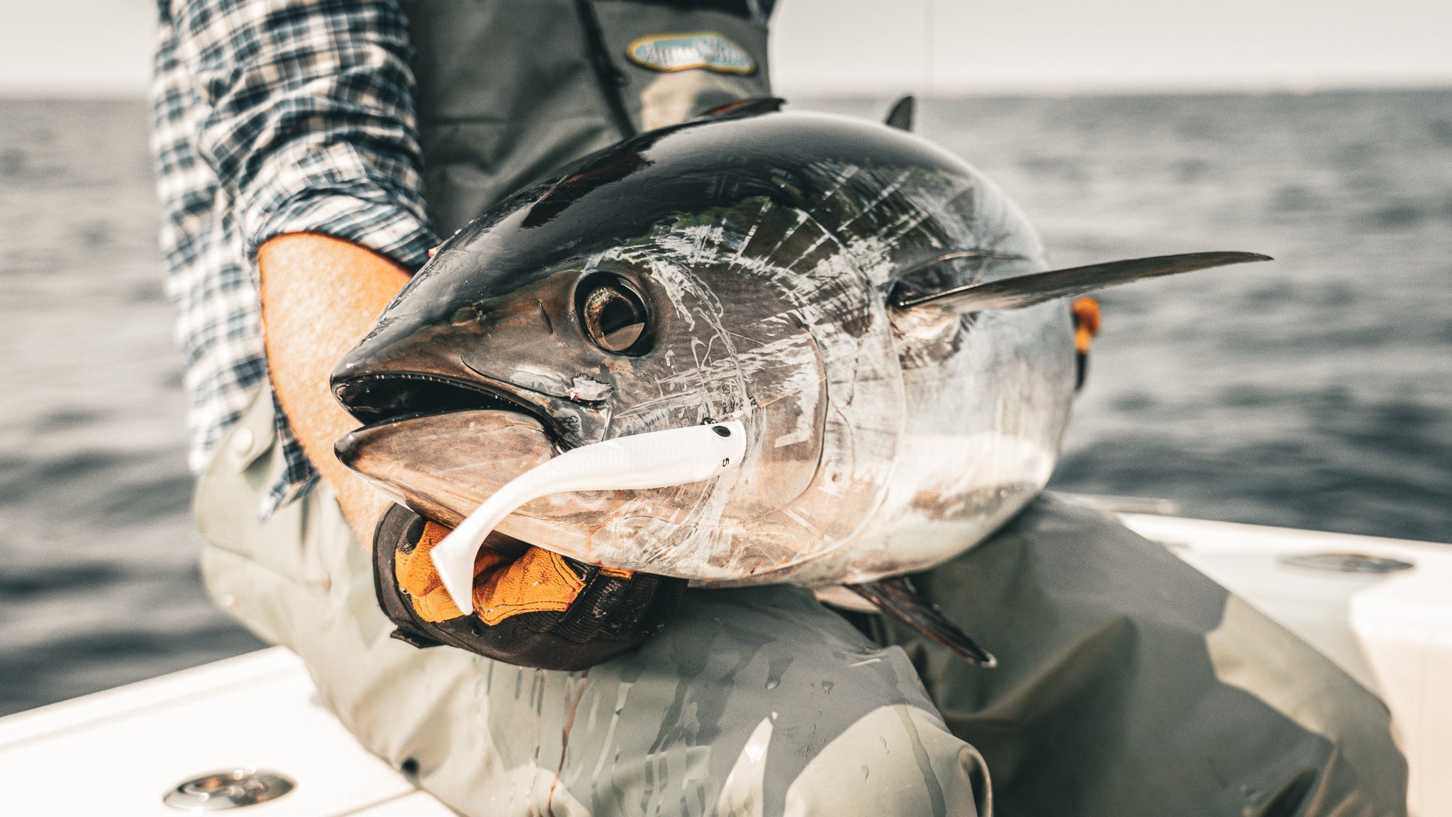 Crack The Code: Outer Cape Bluefin Tuna Casting