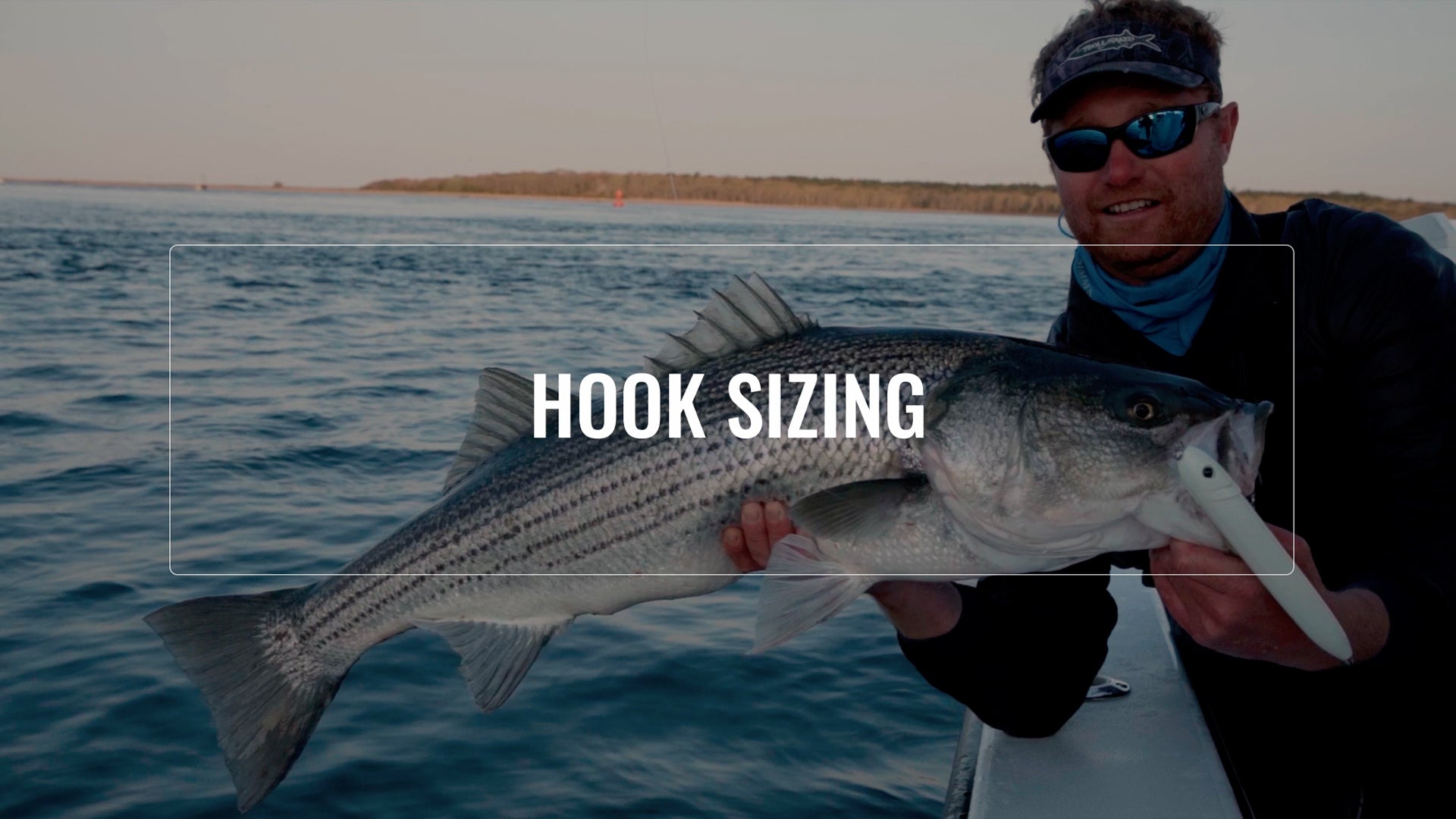 Hook Size and Gap