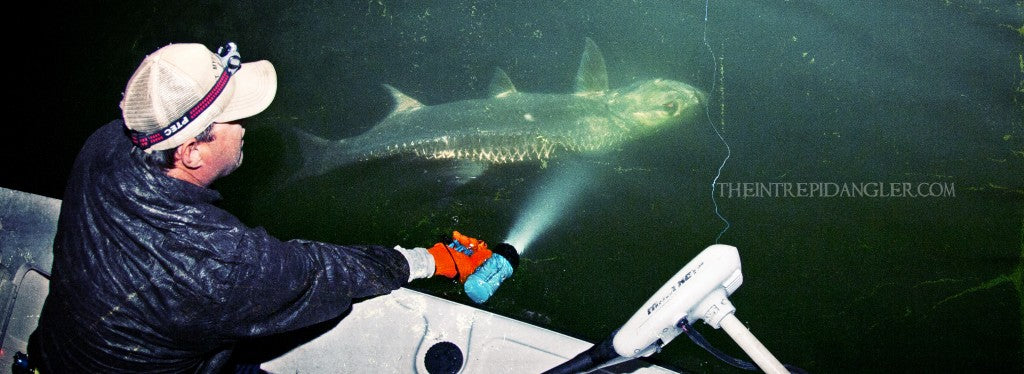 Three Tips to Improve Your Tarpon Hookup and Landing Ratio