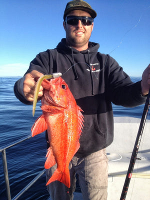 Pro Talk: Jigging Lures for the Channel Islands Vermillion Rockfish