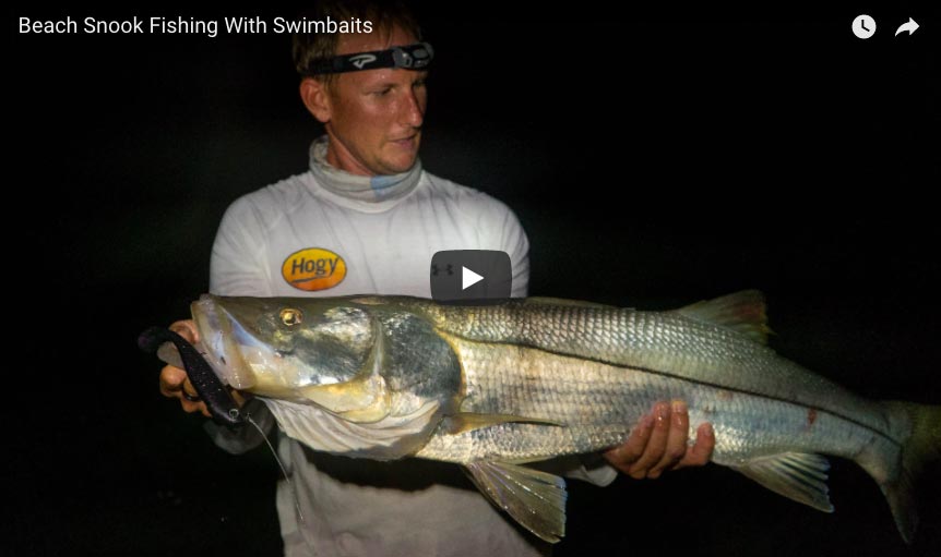 How-To: The Best Swimbaits for Beach Snook