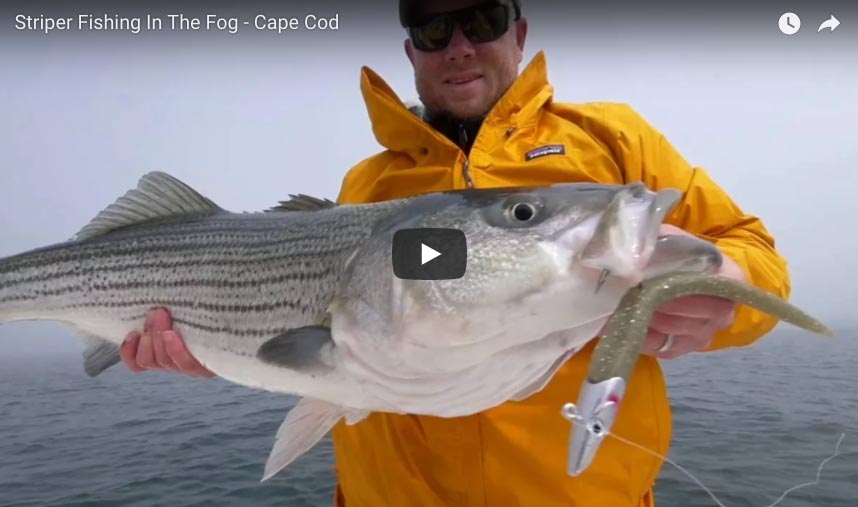 How-To: Deep Water Stripers in the Fog