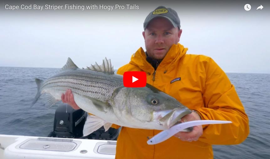How-To: Pro Tail Paddles for Cape Cod Stripers