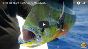 How-To: Sight Casting for Mahi