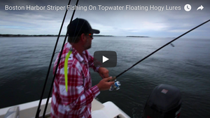 How-To: Topwater Stripers in Boston Harbor