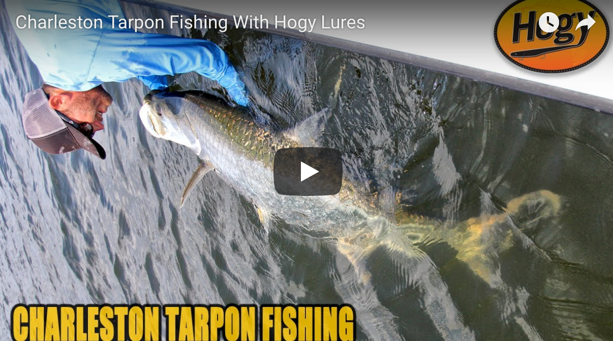 How-To: Tarpon Fishing with Hogy Lures in Charleston, South Carolina