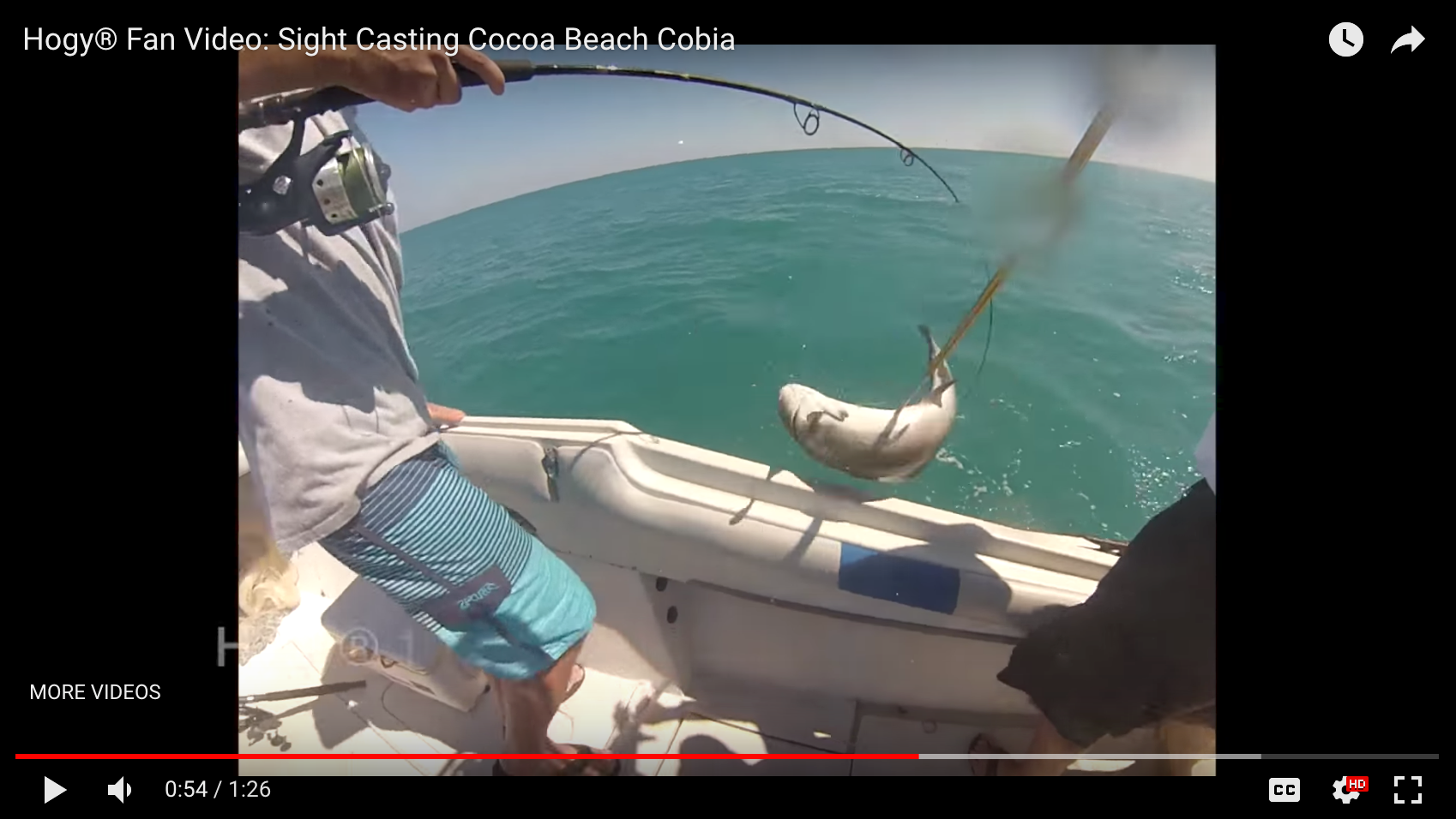 How-To: Sight Casting Cocoa Beach Cobia
