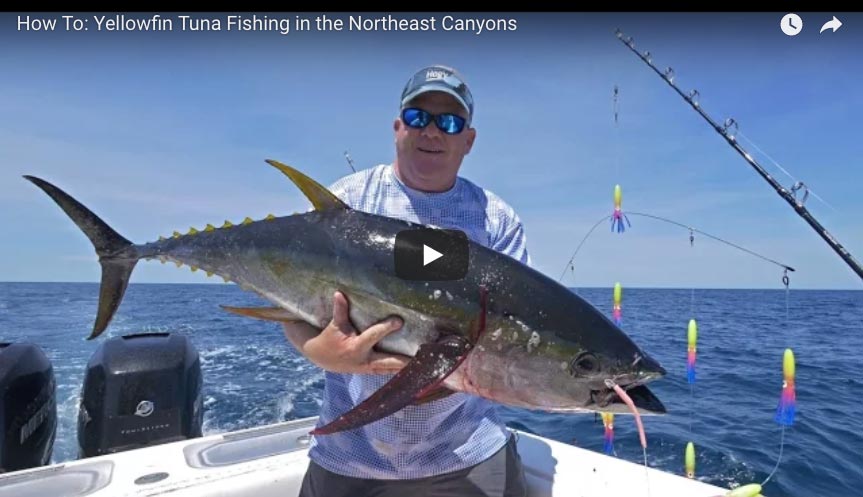How To: Yellowfin Tuna Fishing in the Northeast Canyons