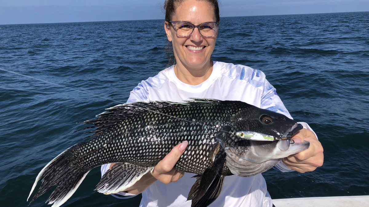 Top 10 Fall Black Sea Bass Fishing Tips | Hogy Lures
