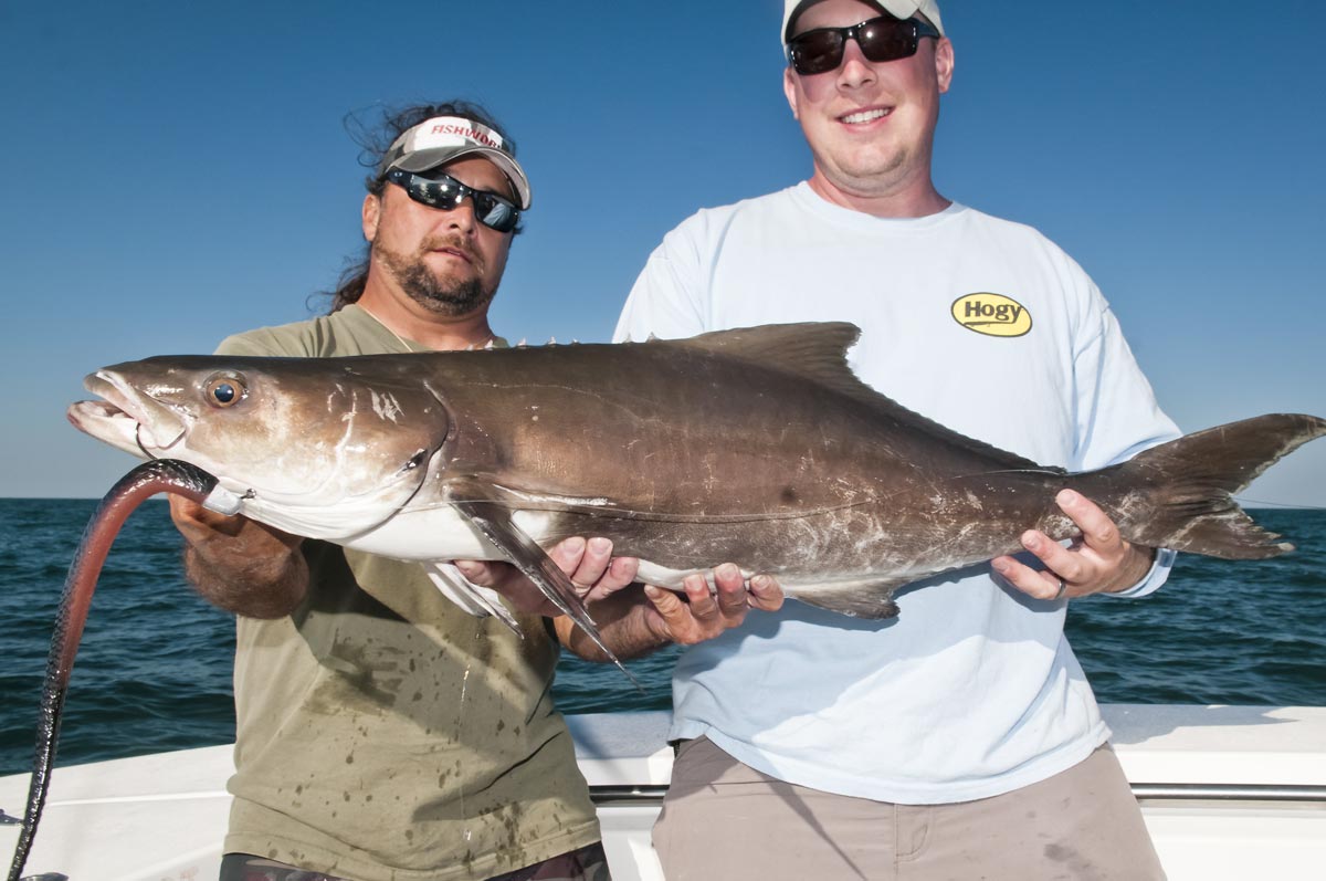 How-To: Jigging for Cobia