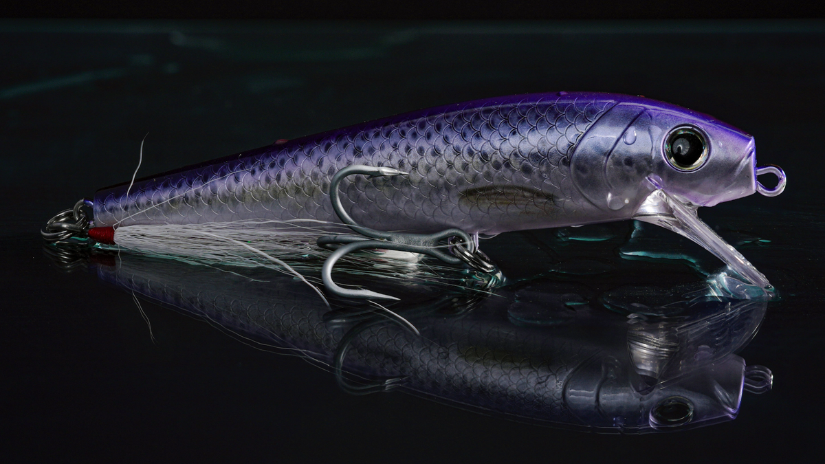 Capt. Mike's Guide to Special Teams Forage: The Bait Nobody Matches