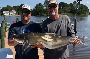 How-To: Trolling Tube Lures For Cobia, Ling, Lemonfish