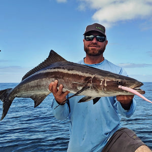 Pro Talk: Sight Casting for Cobia on Bull Sharks with the Pro Tail Eel