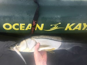 Pro Talk: Top Lures for Charlotte Harbor Snook