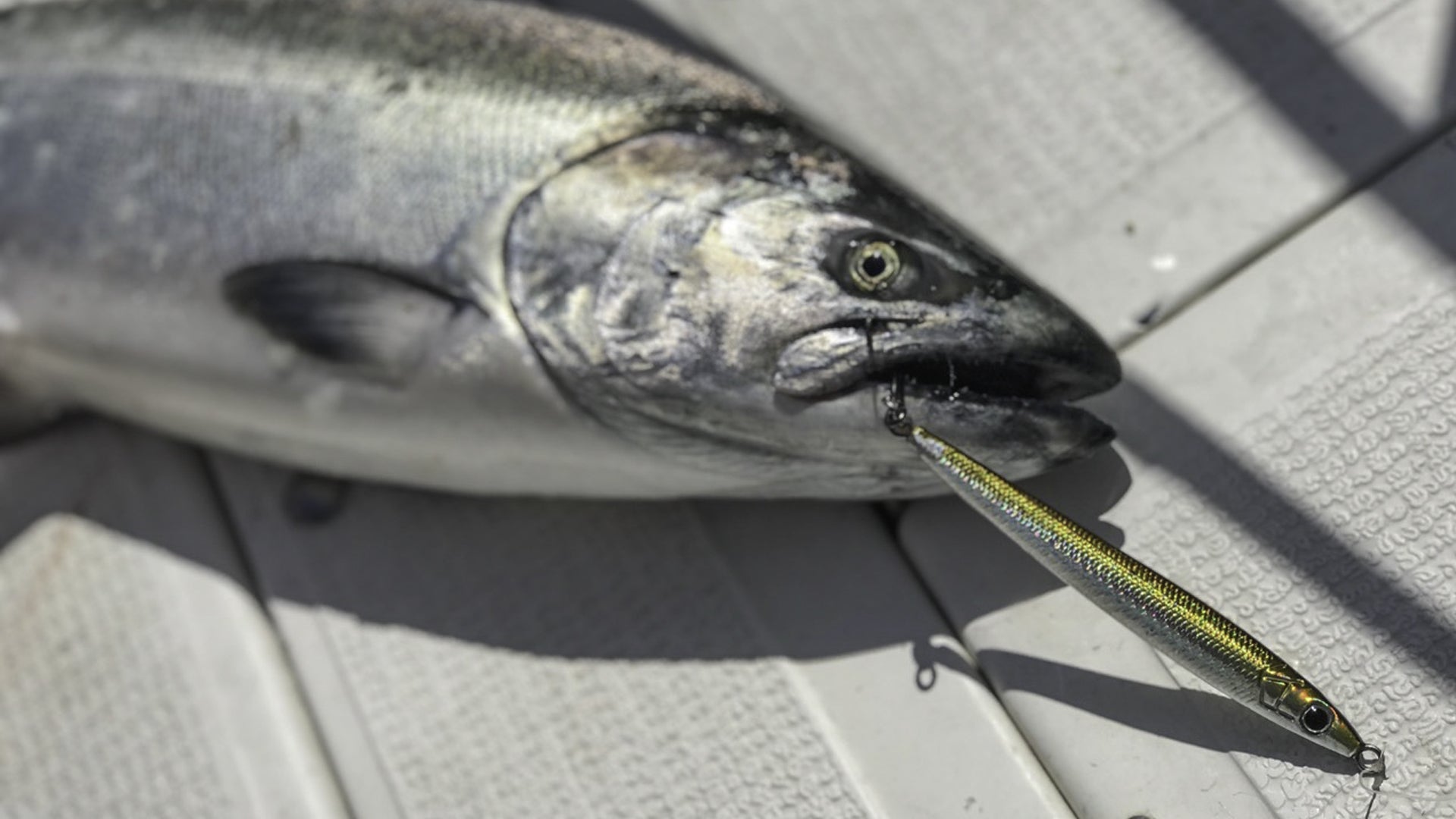 Pro Talk: Sand Lance - Needlefish Jigs For Chinook (King) Salmon