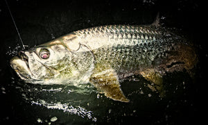 Q&A: What is the best sized hook to land the most Tarpon?