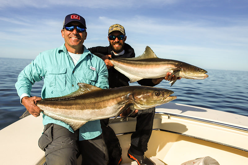 How To: Casting and Jigging Cobia On Wrecks