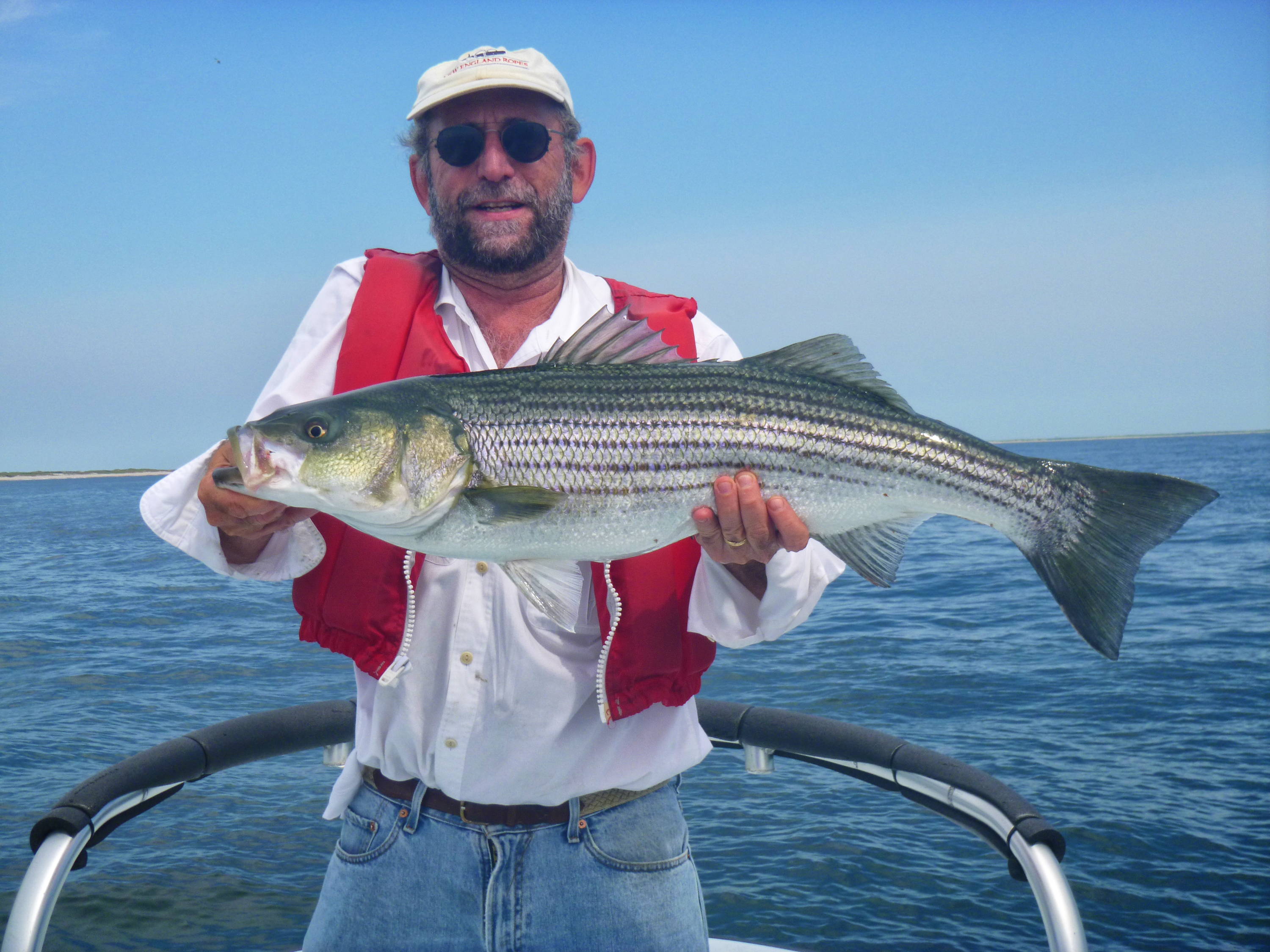 How-To: Choosing the Best Striper Lures for Worm Hatches